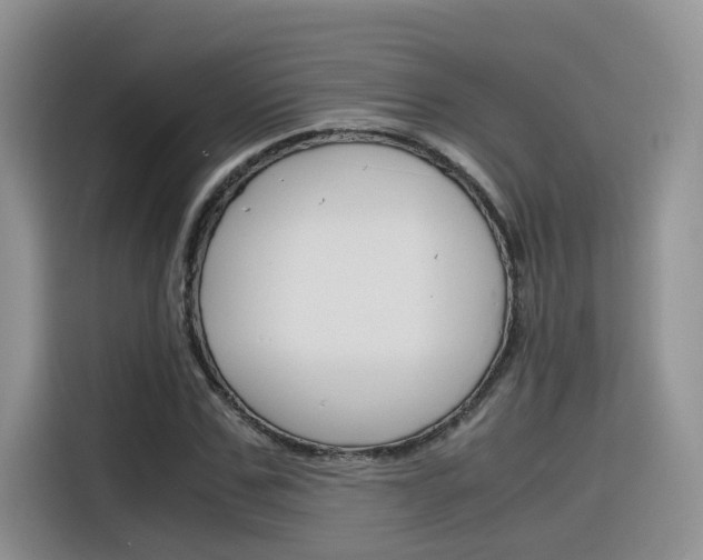 X0000116350971200912011035