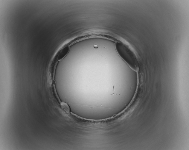 X0000116350973200912011035