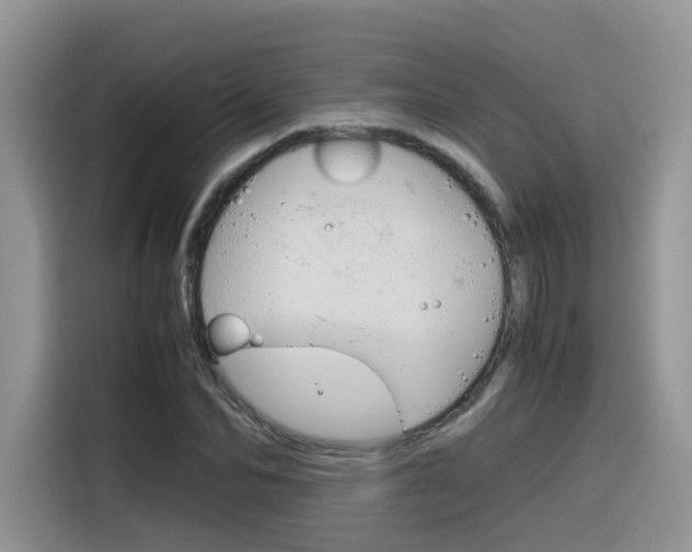 X0000116350974200912011035