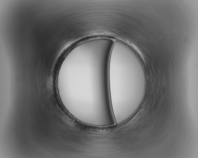 X0000116350975200912011035