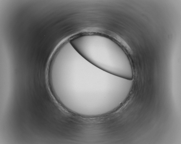 X0000116350976200912011035