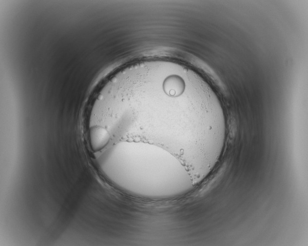 X0000116350978200912011035