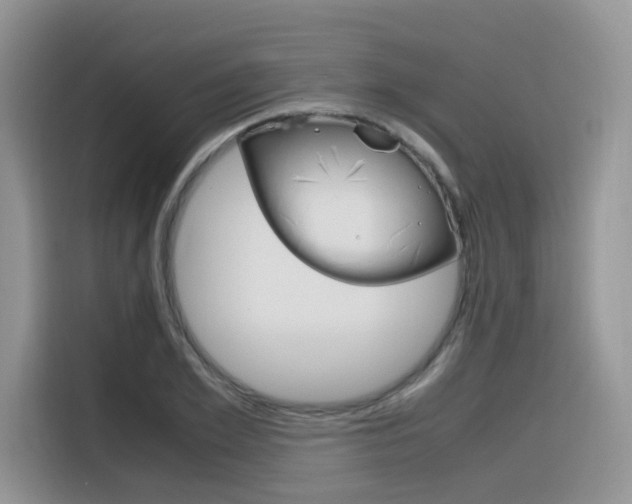 X0000116350981200912011035