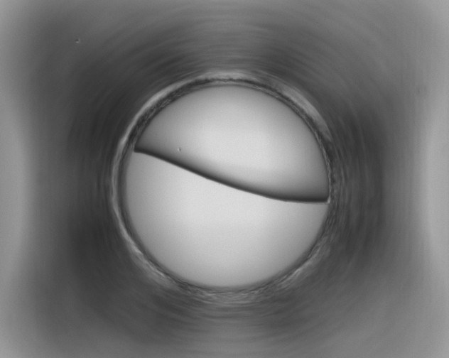 X0000116350984200912011035
