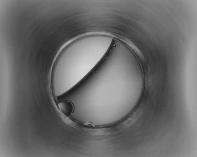 X0000116350988200912011035