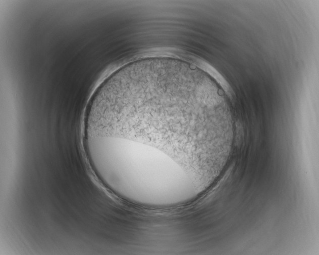 X0000116350994200912011035