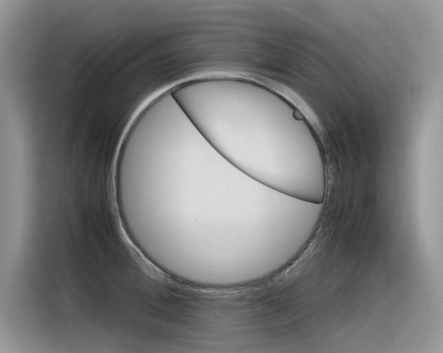 X0000116350996200912011035
