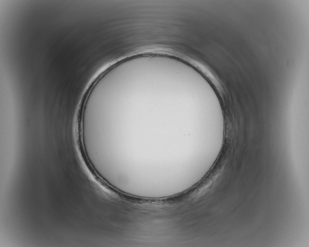 X0000116350999200912011034