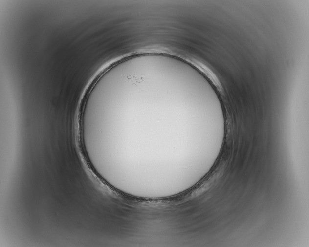 X0000116351000200912011034