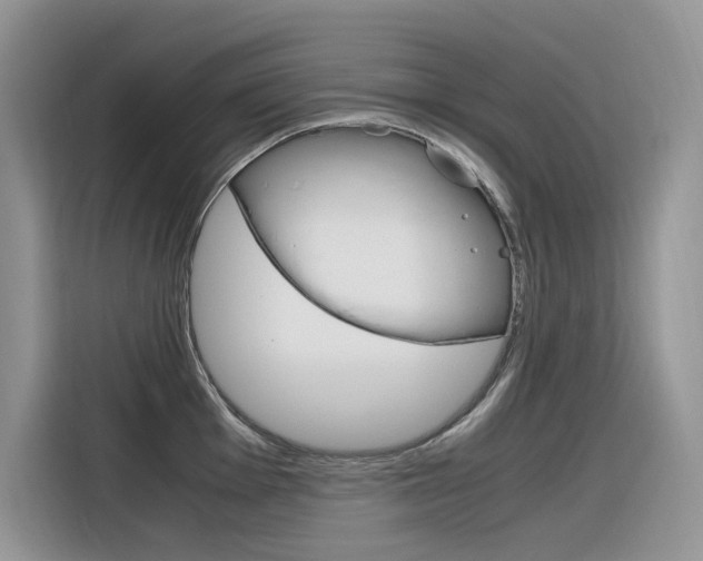 X0000116351001200912011034