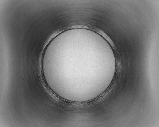 X0000116351002200912011034