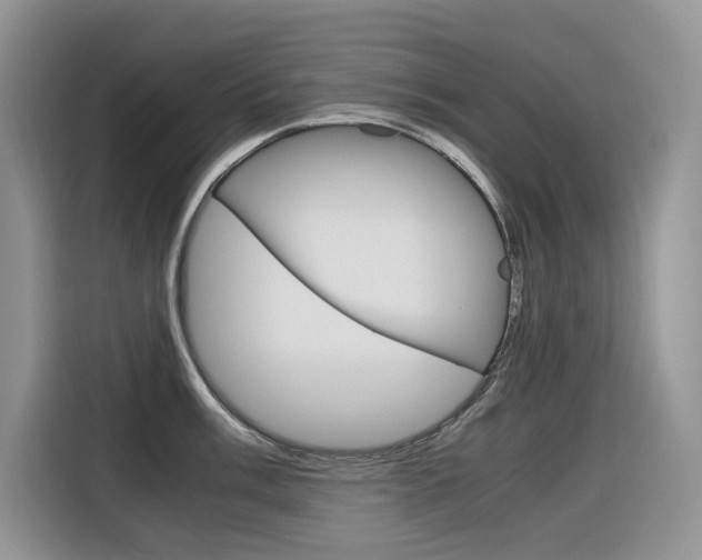 X0000116351003200912011034