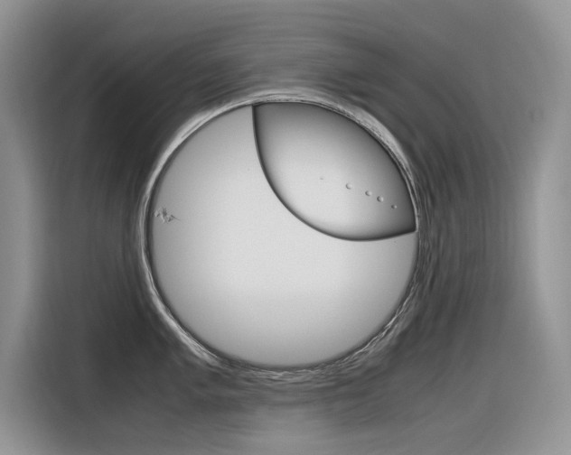 X0000116351005200912011034