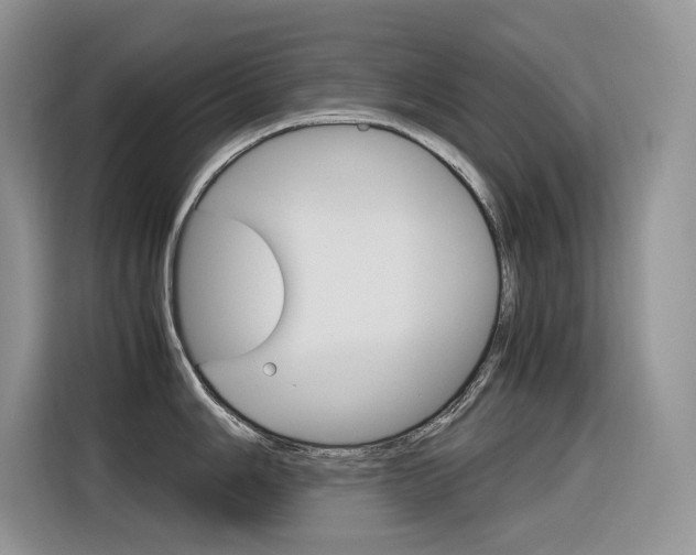 X0000116351006200912011034