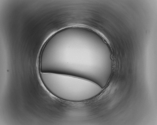 X0000116351007200912011034