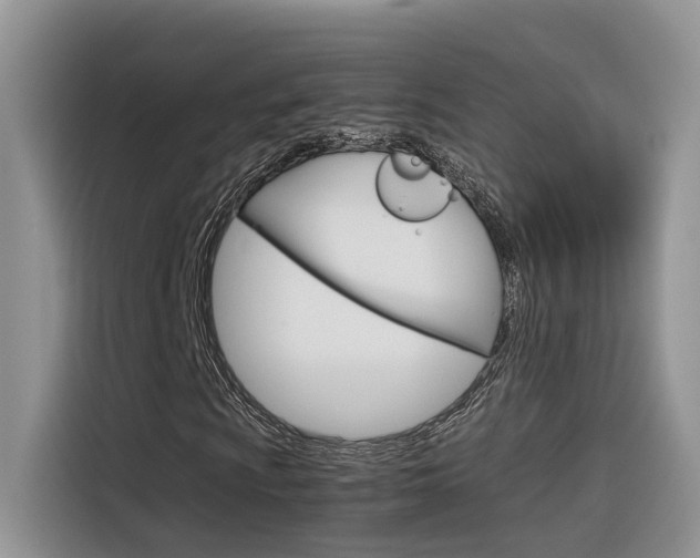 X0000116351009200912011034