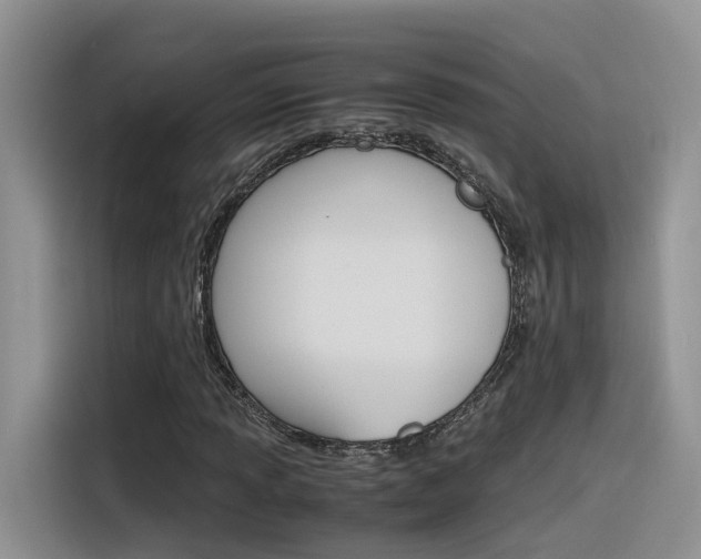 X0000116351013200912011034