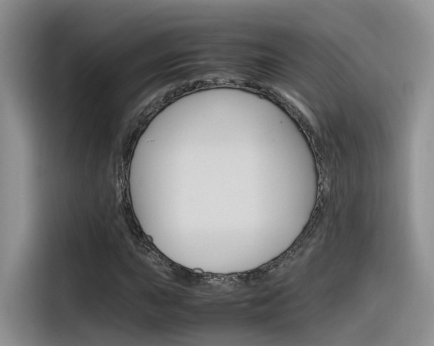 X0000116351015200912011034
