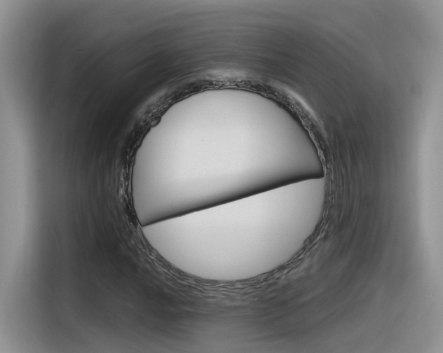 X0000116351016200912011034