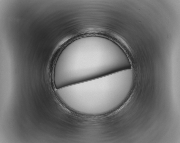X0000116351018200912011034