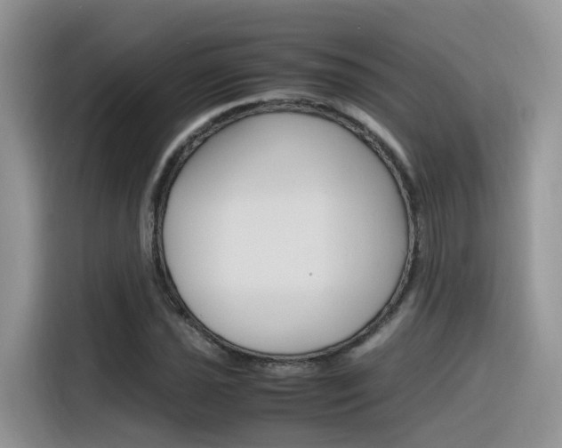 X0000116351021200912011034