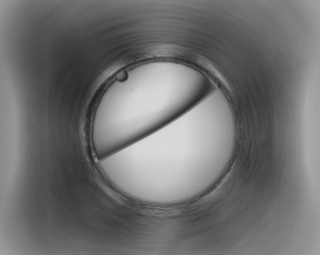 X0000116351026200912011034