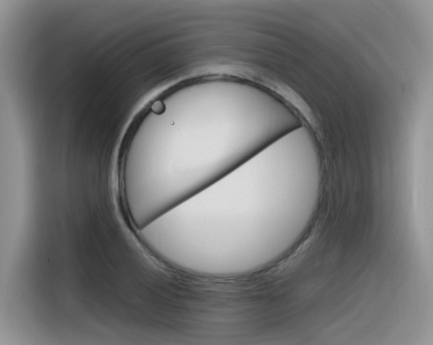 X0000116351028200912011034