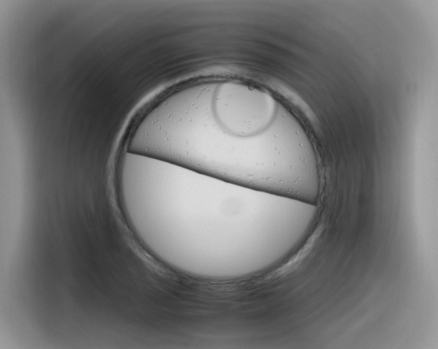 X0000116351029200912011034