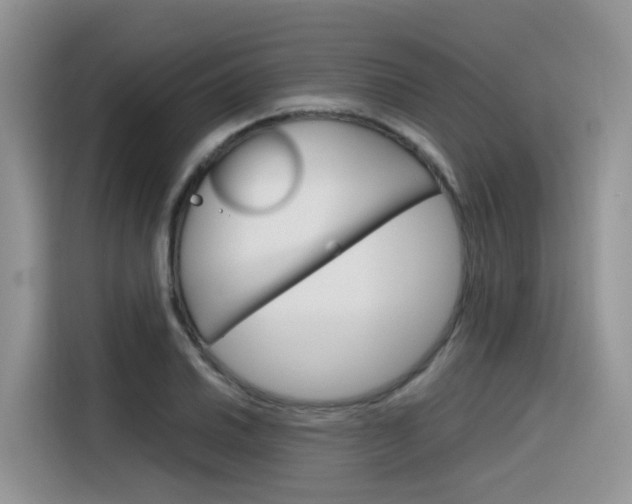 X0000116351030200912011034