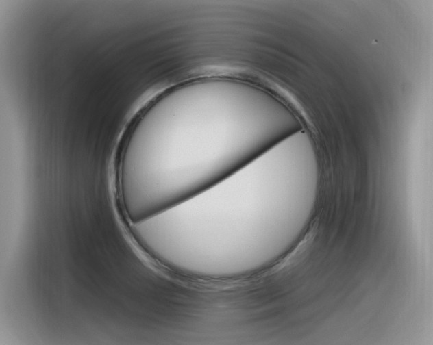 X0000116351034200912011034