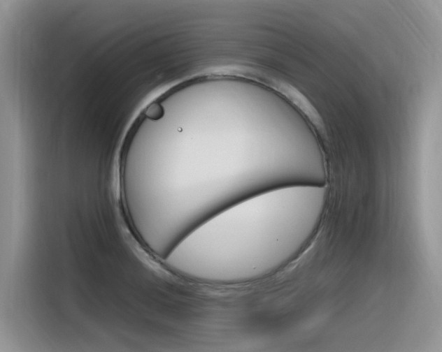 X0000116351036200912011034