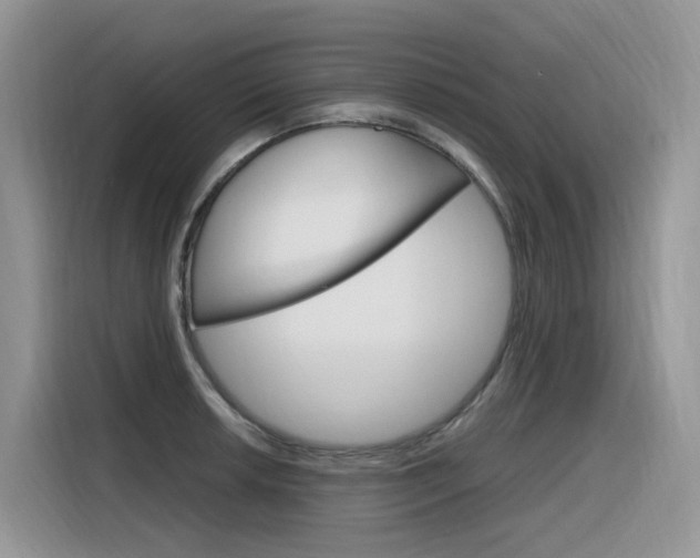 X0000116351042200912011034