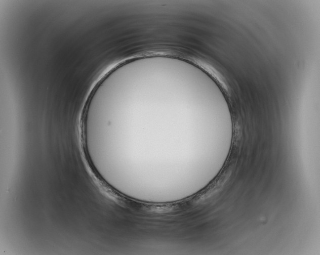 X0000116351047200912011034