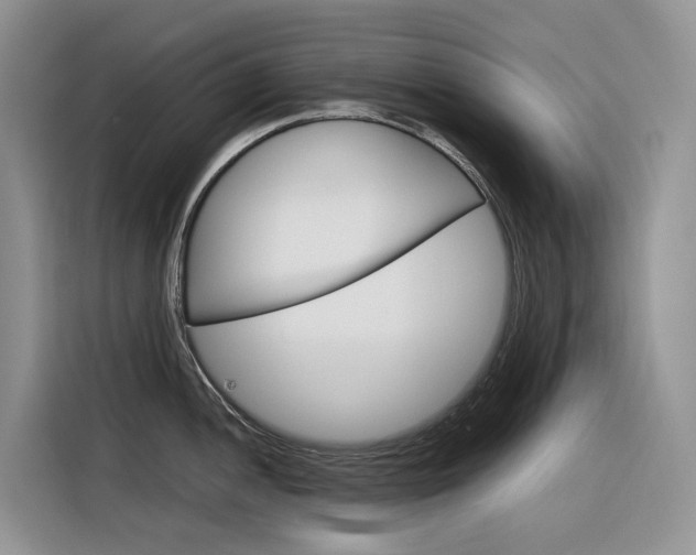 X0000116351052200912011034