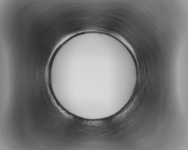 X0000116351053200912011034
