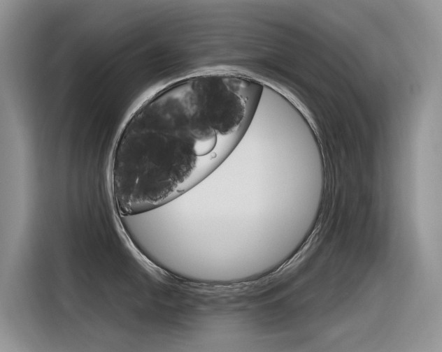 X0000116351054200912011034