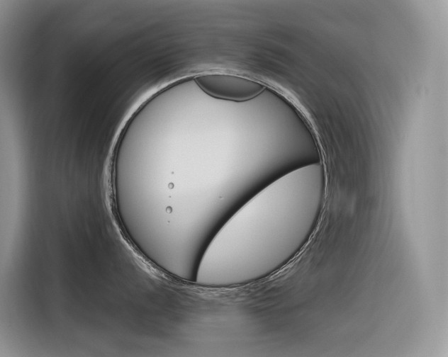 X0000116351056200912011034
