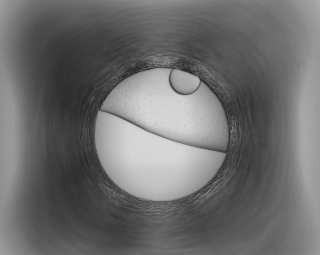 X0000116351058200912011034