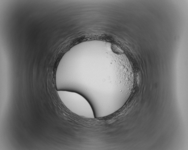 X0000116351059200912011034