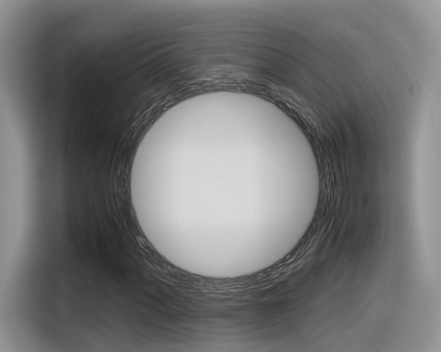 X0000116351060200912011034