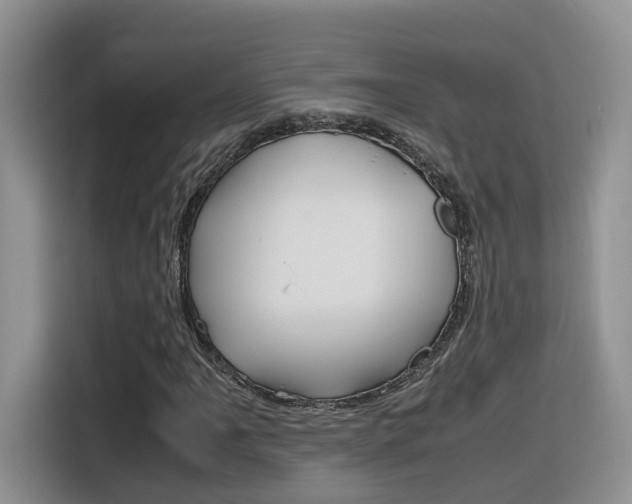 X0000116351061200912011034