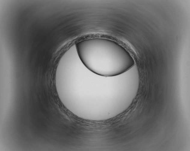 X0000116351064200912011034