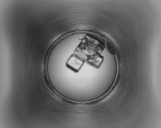 X0000116351065200912011034
