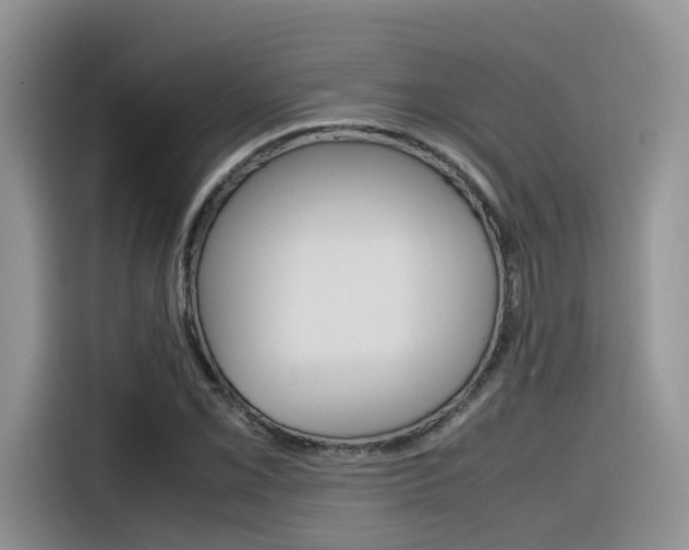 X0000116351069200912011034