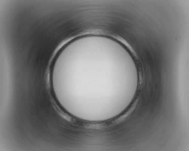 X0000116351078200912011033