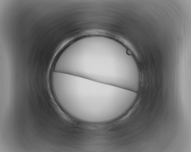 X0000116351082200912011033