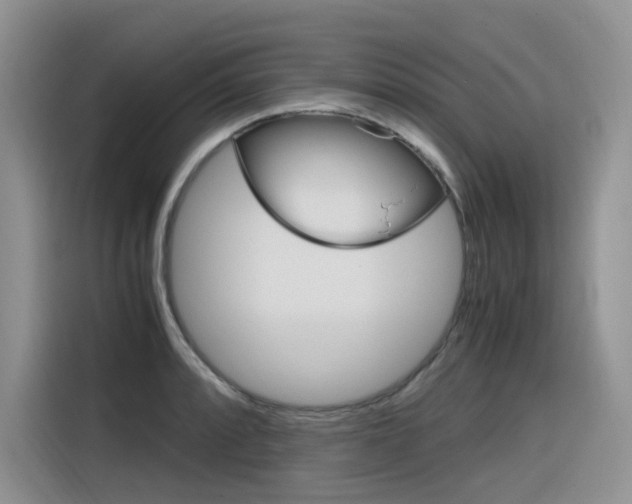 X0000116351088200912011033