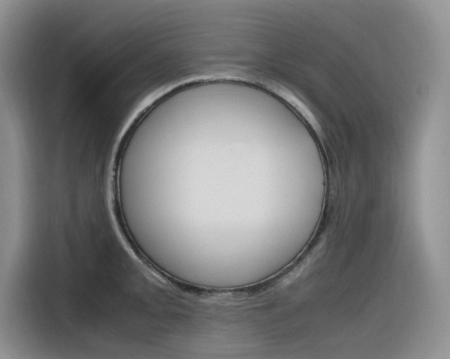 X0000116351093200912011033