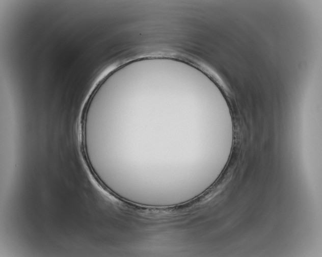 X0000116351095200912011033