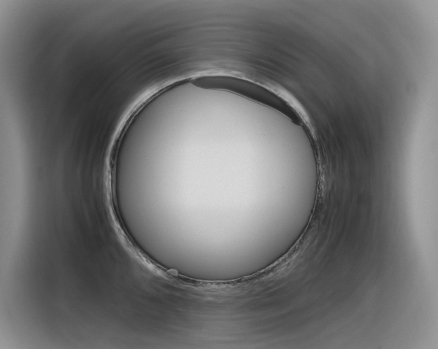 X0000116351096200912011033